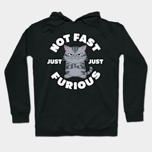 The image features a grumpy-looking cat with the text “NOT FAST JUST FURIOUS” surrounding it Hoodie